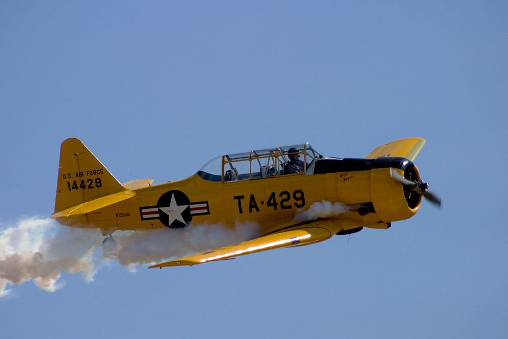 CRW_0334_zpskpblcroe.jpg