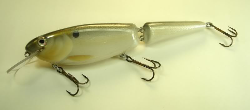 09 Alewife10in
