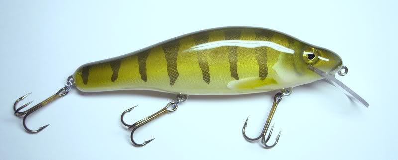 8 inch perch