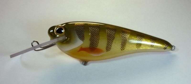 Goldperch