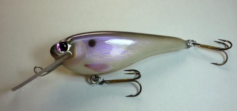 2010 Fltshad Purple/Blu