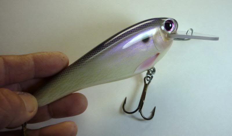 2010 Fltshad Purple/Blu