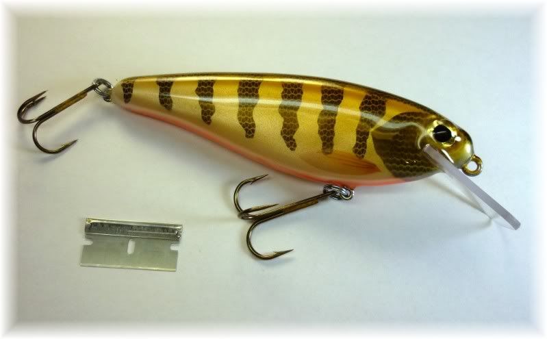 2010 Rocket Shad