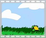 Turtle_Bounce.mp4 video by LowKeyLoki