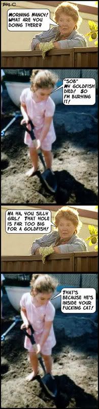 deadgoldfish.jpg