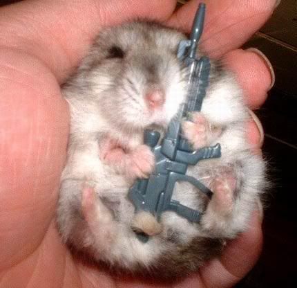 hamster gun