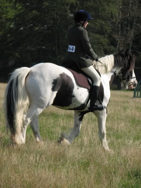 gewicht paard berekenen