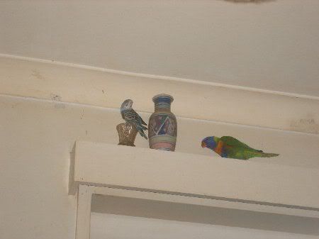 DSCF0872.jpg