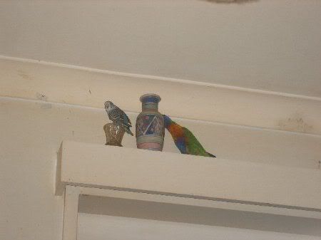 DSCF0873.jpg
