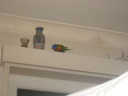 DSCF0874.jpg