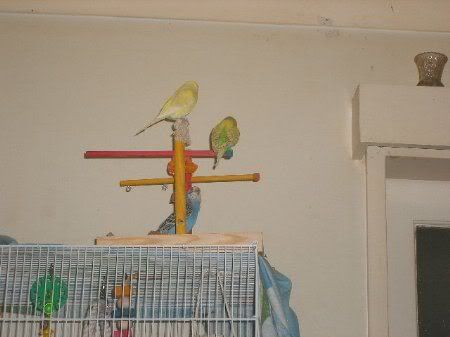 DSCF0882.jpg