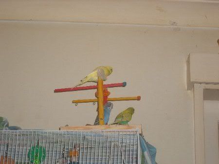 DSCF0883.jpg