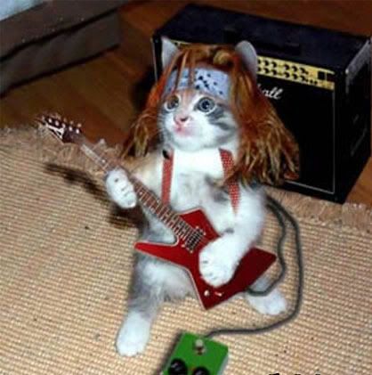 Cat with guitar Pictures, Images and Photos