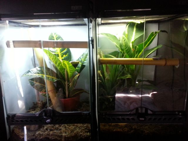 20120819_110755.jpg