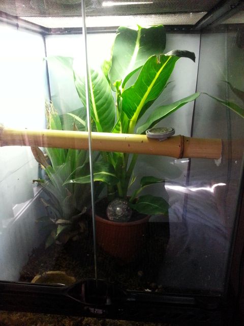 20120819_110808.jpg