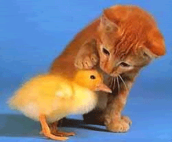 47.gif image by _sickOpath_