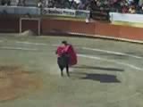 ole matador