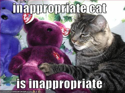 funny-pictures-inappropriate-cat-pu.jpg