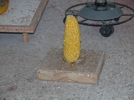 1W018.jpg