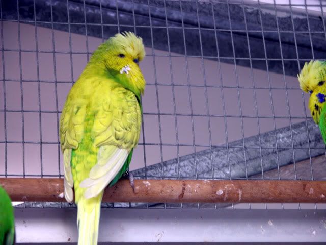 20081207005.jpg