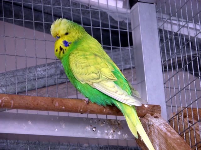 20081207006.jpg