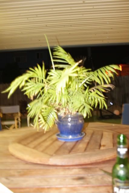 2009_01_10_0006.jpg