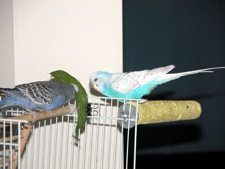 DSCN5375.jpg