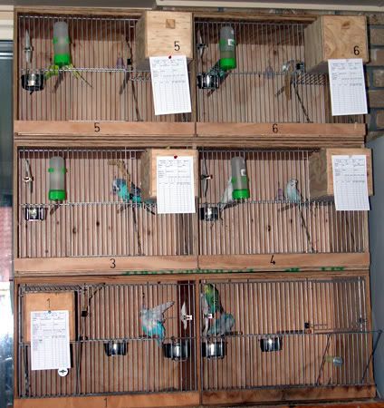 DSCN5428.jpg