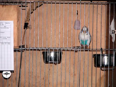 DSCN5430.jpg