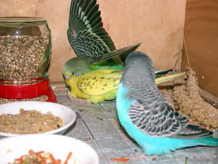 DSCN5558.jpg