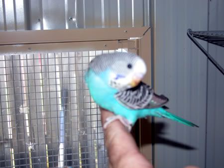DSCN5559.jpg