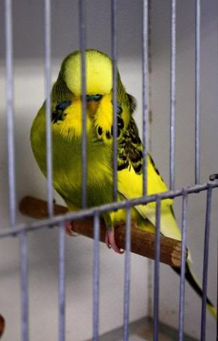 IMG_0730.jpg