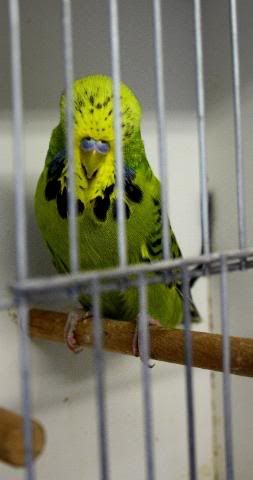 IMG_0751.jpg