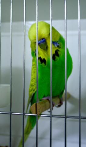 IMG_1253.jpg
