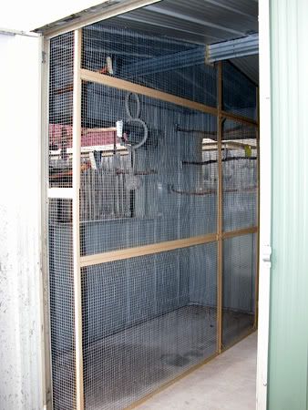 budgie030.jpg