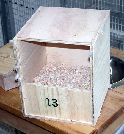 dw035.jpg