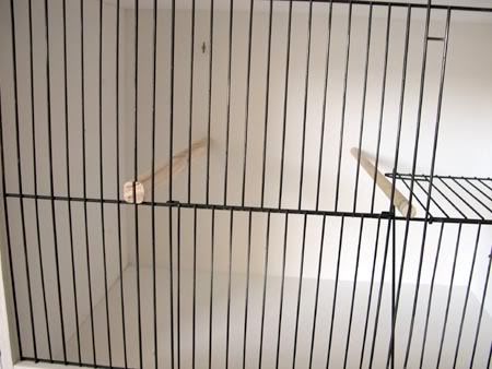 nestbox004-1.jpg