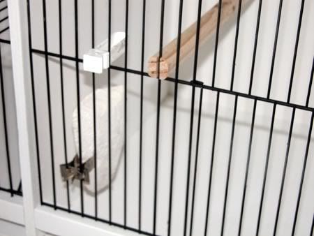 nestbox005.jpg