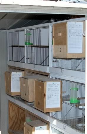 nestbox010-1.jpg