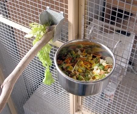nestbox010.jpg