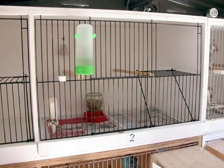 nestbox011.jpg