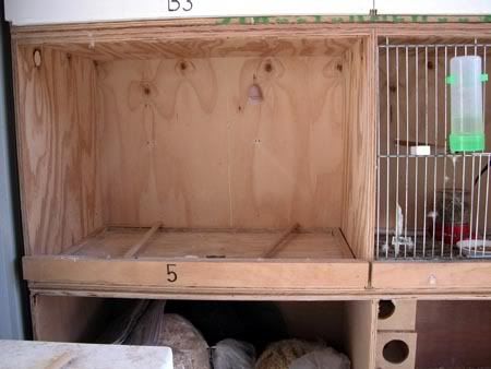 nestbox017.jpg
