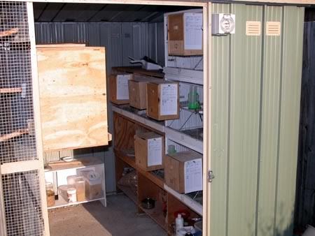 nestbox019.jpg
