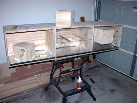 wfb001.jpg
