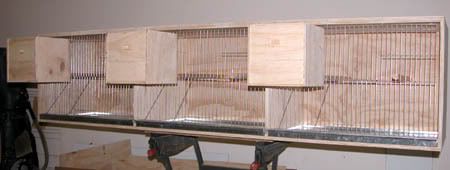 wfb017.jpg