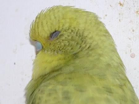 wfb074.jpg