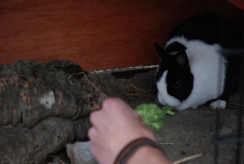 DSC_9267.jpg