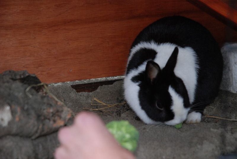 DSC_9268.jpg
