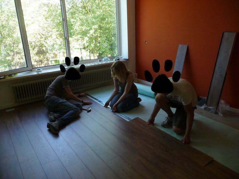 P1080225c.jpg?t=1339523416