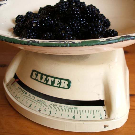 Vintage Salter Scales